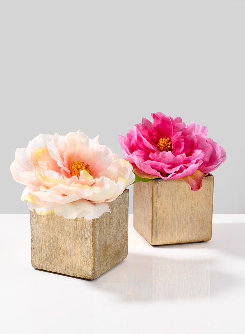 Vase cubique doré de 3 pouces