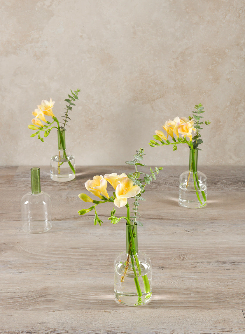 Vase tubulaire en verre Archimède Vert Pointe de 5 pouces de haut, mini