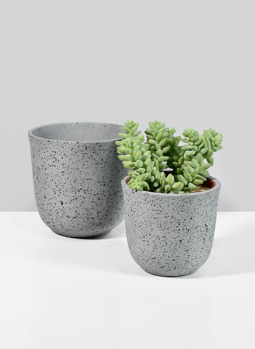 Jardinière en ciment Gojimara de 4 pouces de hauteur
