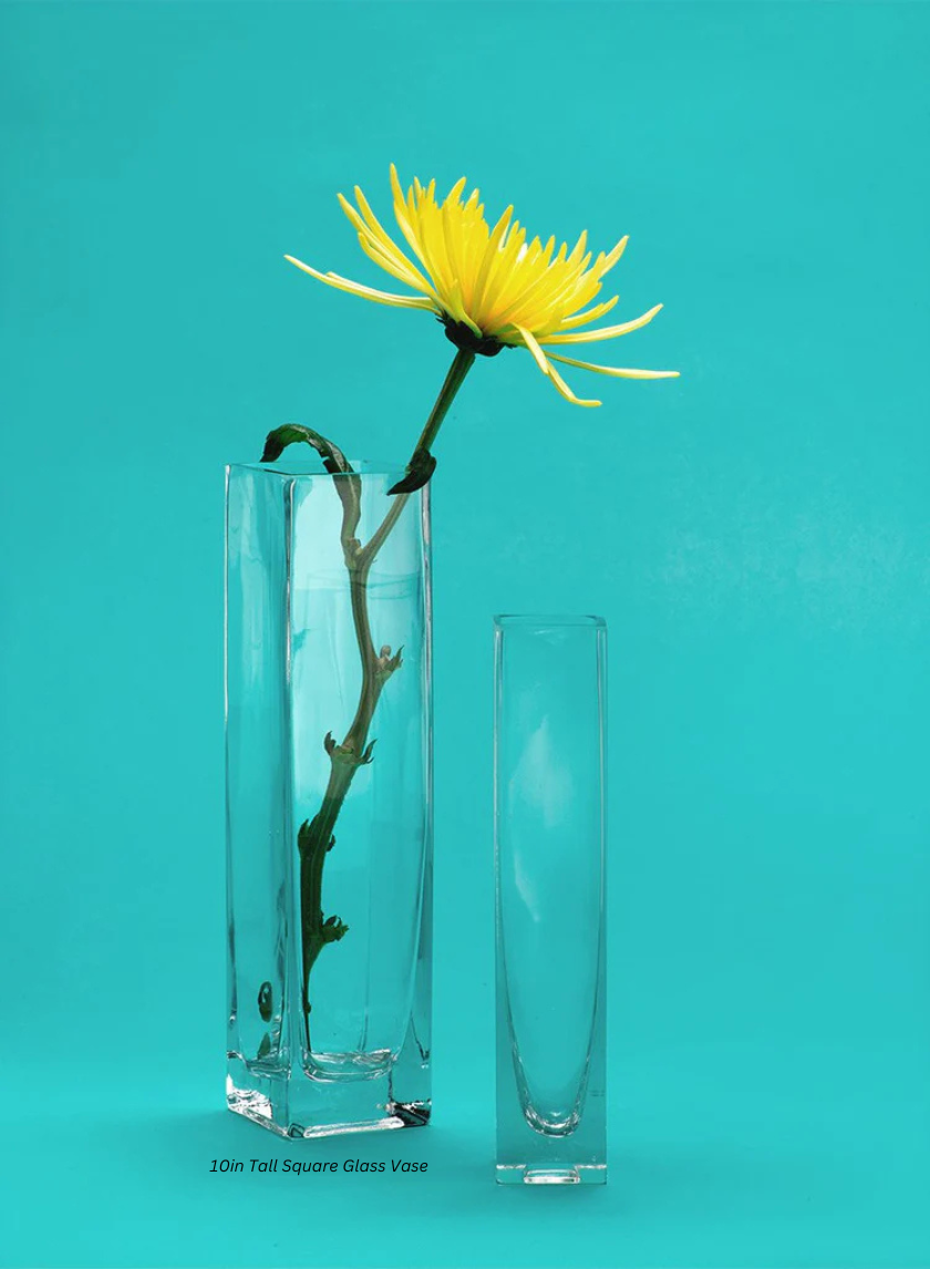 Vase carré en verre de 10 pouces de haut