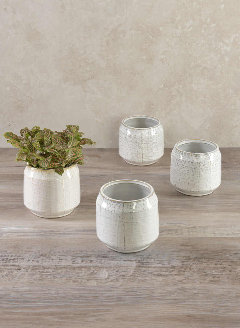 Pot en parchemin blanc de 4 pouces de hauteur