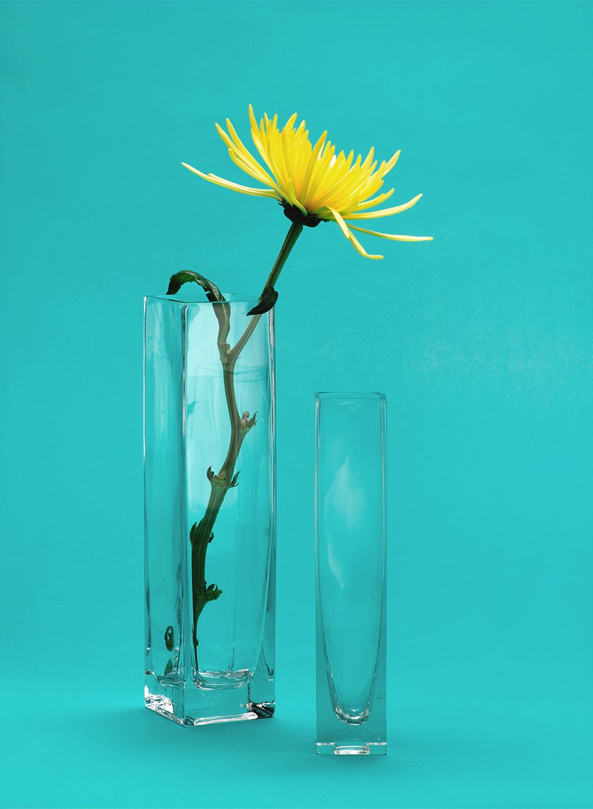Vase carré en verre de 10 pouces de haut