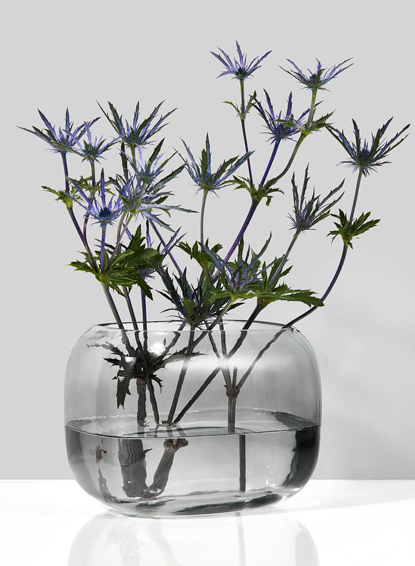 Vase bocal à poisson carré en verre gris froid de 5,5 pouces de hauteur
